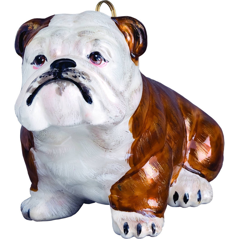 Bulldog Brown and White