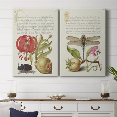 Hoefnagel Tropical Specimens XII-Premium Gallery Wrapped Canvas -Ready to Hang