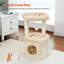 Tour d'intérieur pour chat en sisal naturel-1573256113