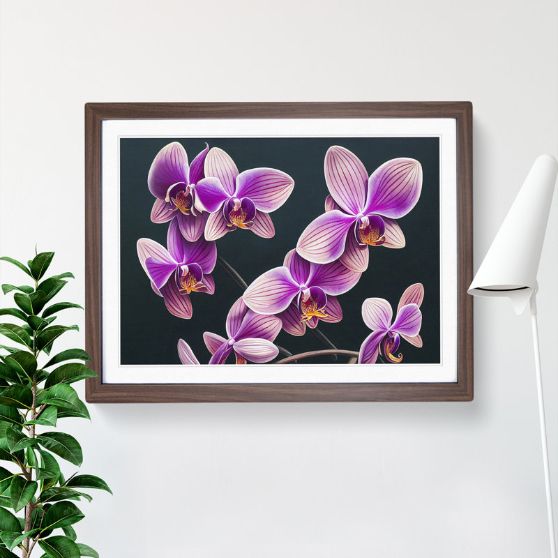 Evolving Orchid Flowers - Framed Print, 46cm H x 64cm W x 2cm D, Walnut