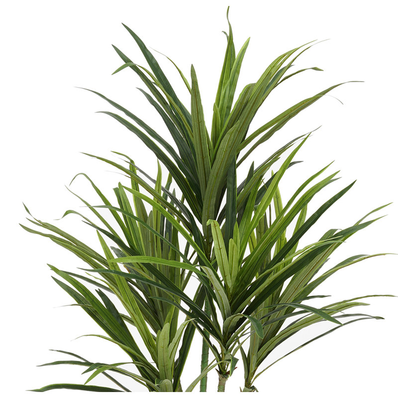Faux Dracaena Tree in Planter, 48" H x 30" W x 30" D