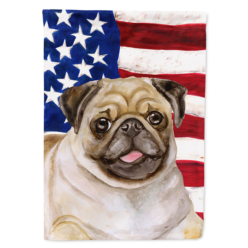 2 côtés en polyester de 2 côtés american drapeau de jardin, Carlin beige