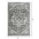 Ragheb Oriental Indoor Rug