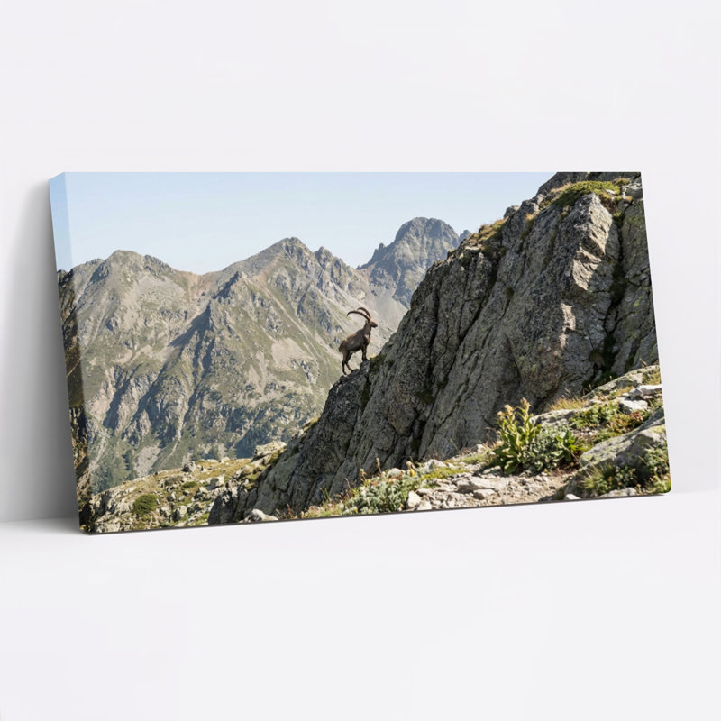 Ensemble de 1 tableau sur toile tendue représentant un bouquetin des montagnes, H 12 po x l 36 po
