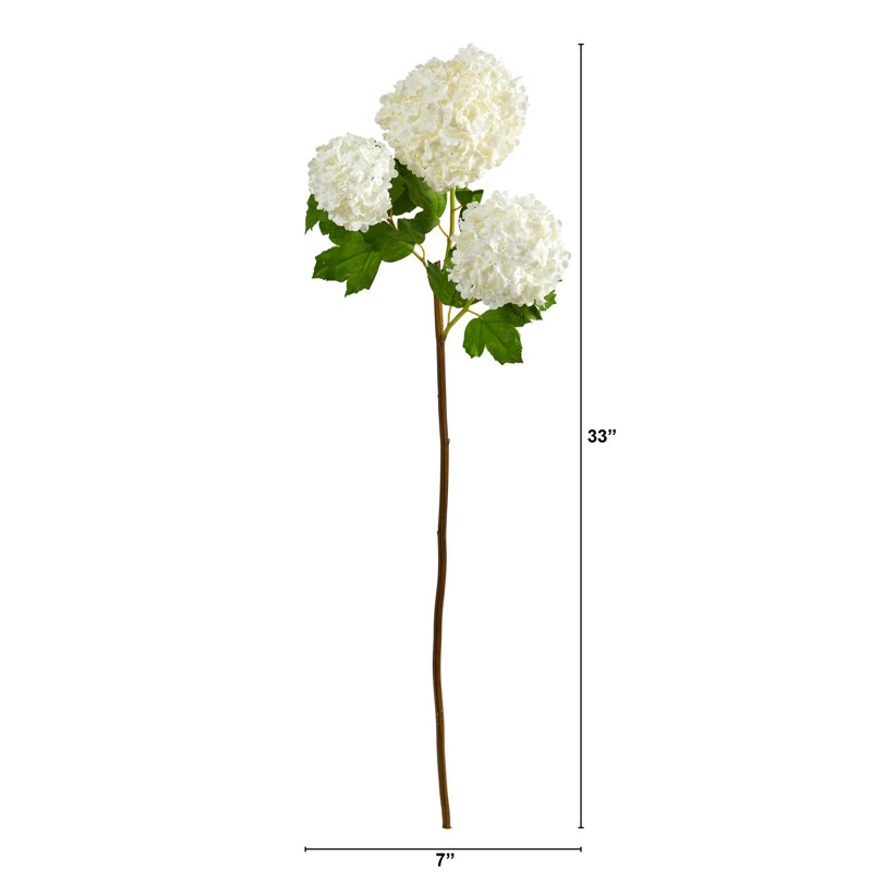 Tige d'hortensia boule de neige, Blanc