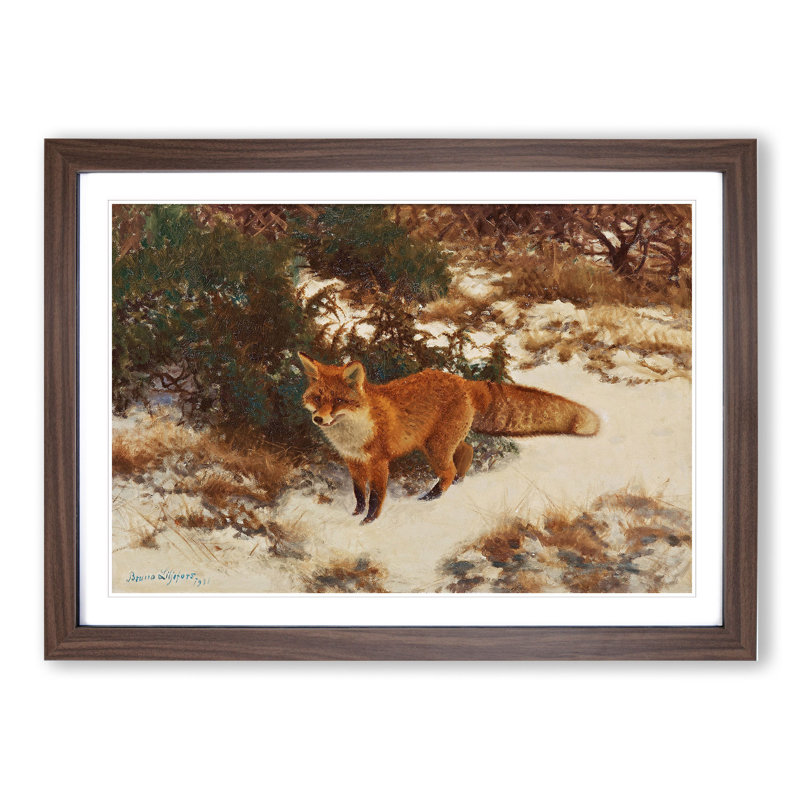 Fox in the Snow Vol.9 by Bruno Liljefors - Framed Print, Walnut Framed, 36cm H x 48cm W x 2cm D