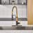 Bolden CASAINC 1.8 GPM Spring Neck Pull Down Kitchen Faucet with Deck Plate-93965528