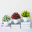 Centre de table fleurs en pot-232208207