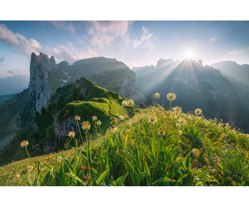 1 Piece Wrapped Canvas Wall Art, 81.28cm H x 121.92cm W