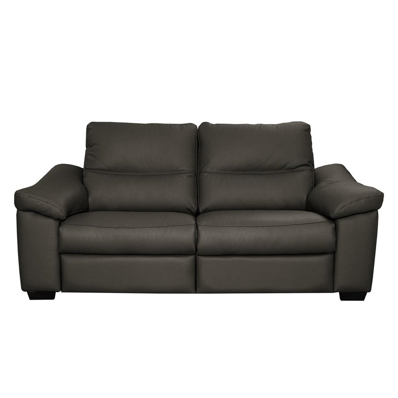 Edeltrudis Genuine Leather 2 Seater Reclining Sofa, Anthracite, 100cm H x 175cm W x 95cm D