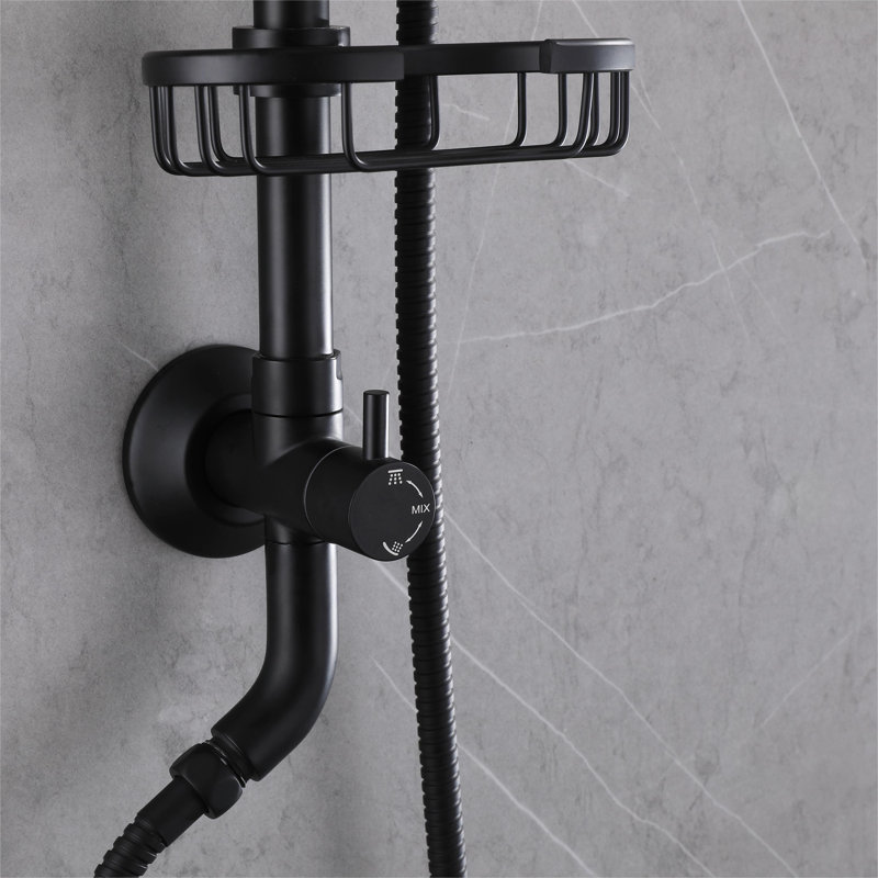 Pomme de douche double 1,8 GPM GPM, Noir mat