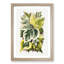 Various Ivy Leaves by Shirley Hibberd - Picture Frame Painting Print-55763970-55763969