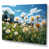 Wrapped Canvas