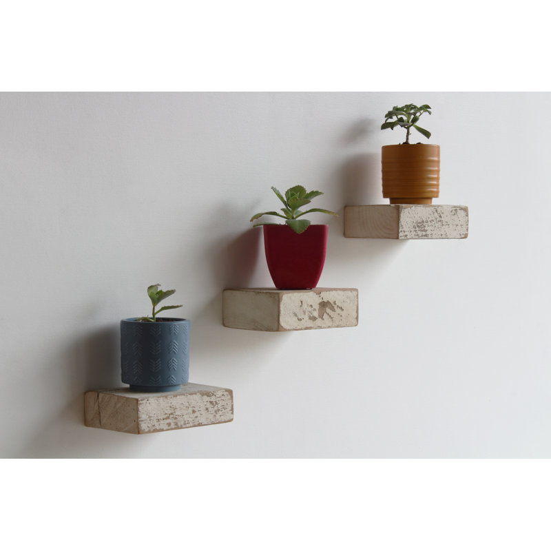 Salomon 3 Piece Solid Wood Floating Shelf, White Washed