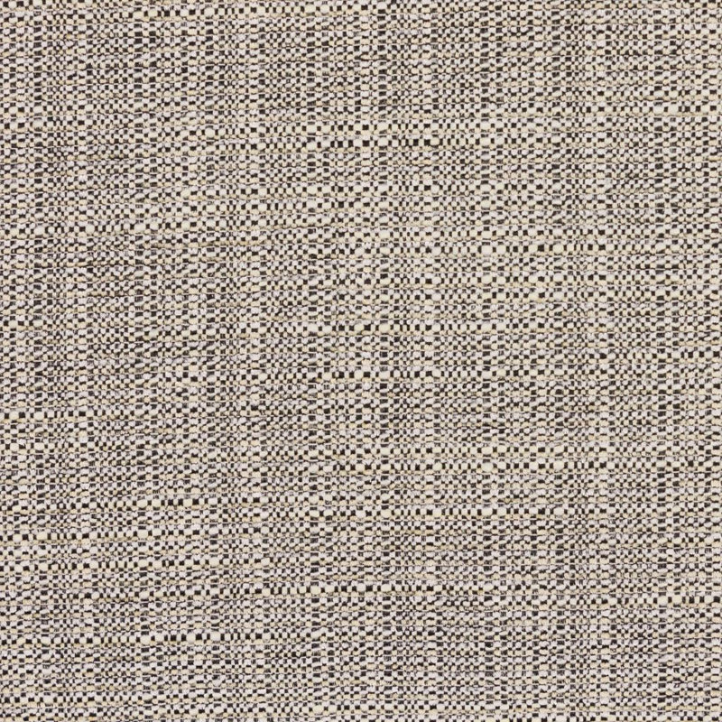 Tissu Bronco, Domino