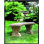 Malagrida Outdoor Bench