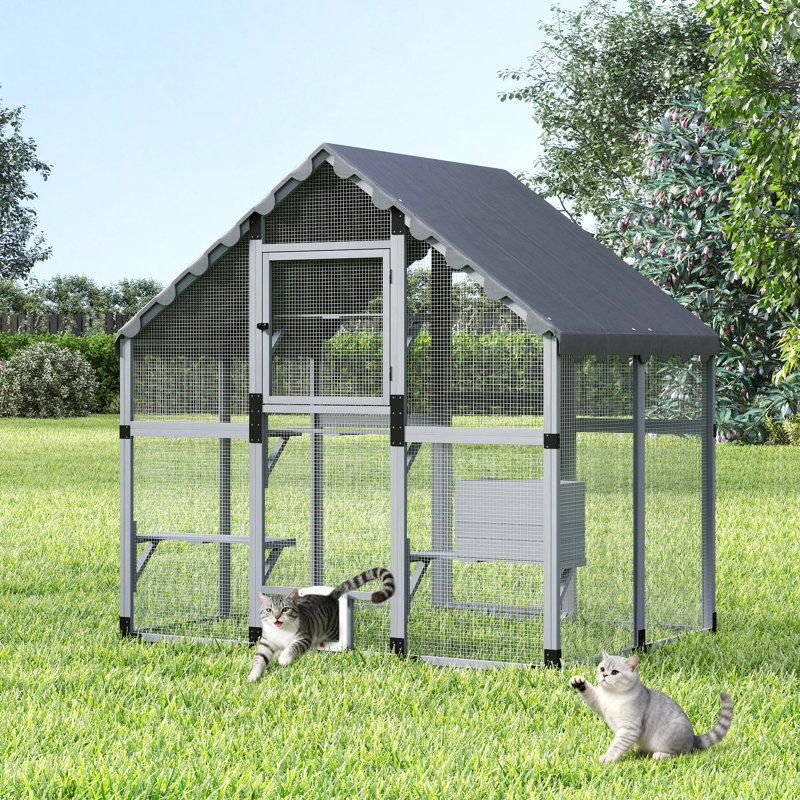 Cat Cage