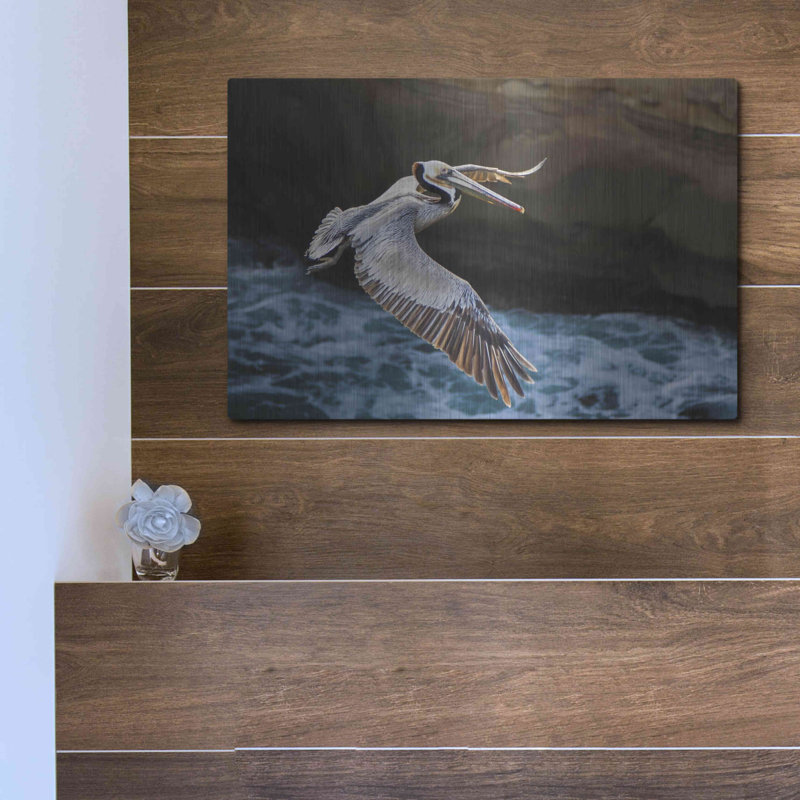 «Pelican Flight» par Chris Moyer, art mural en métal, L 16 po x H 12 po x P 0,13 po