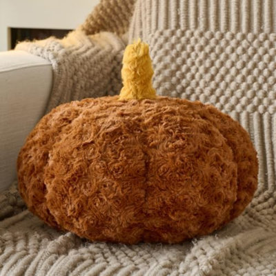 Coussin de citrouille, coussins décoratifs d'automne pour canapé, coussins de lit en peluche pour lit