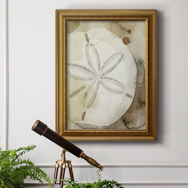 Dry Sand Dollar I, toile encadrée de qualité supérieure - prête à être accrochée, H 20 po x l 16 po x P 2,5 po
