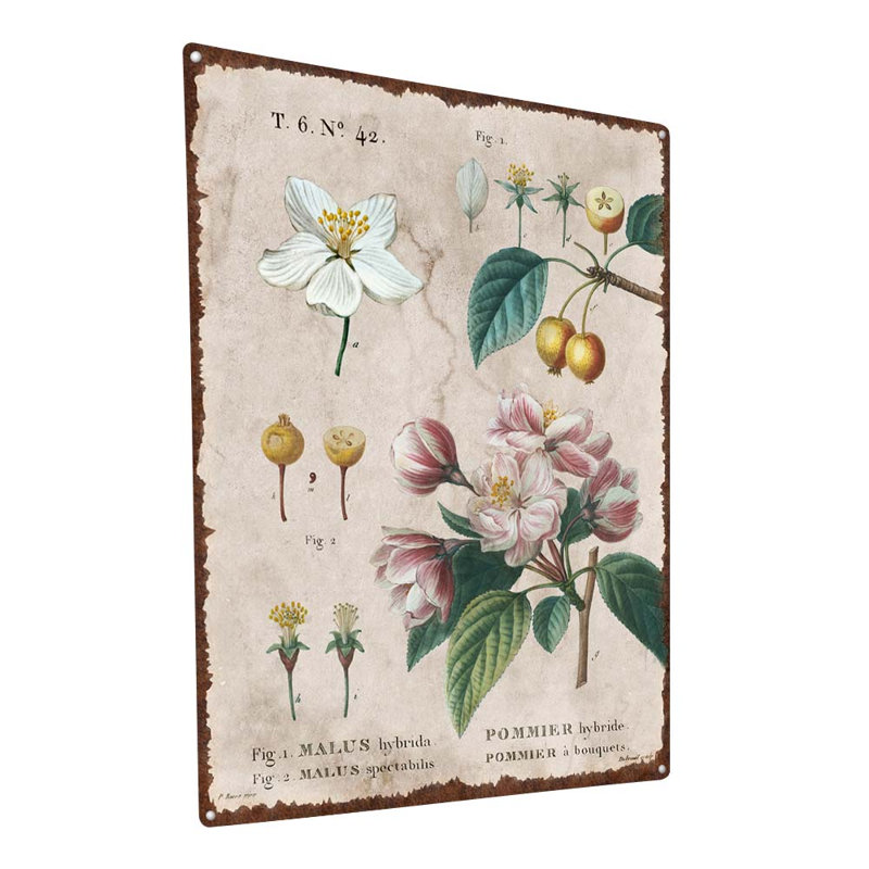 Fleur rétro, encyclopédie de pommetiers, H 15,5 po x l 11,5 po x P 0,04 po