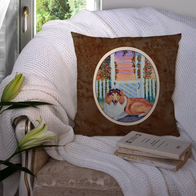 Housse et insert de coussin carré extérieur Collie