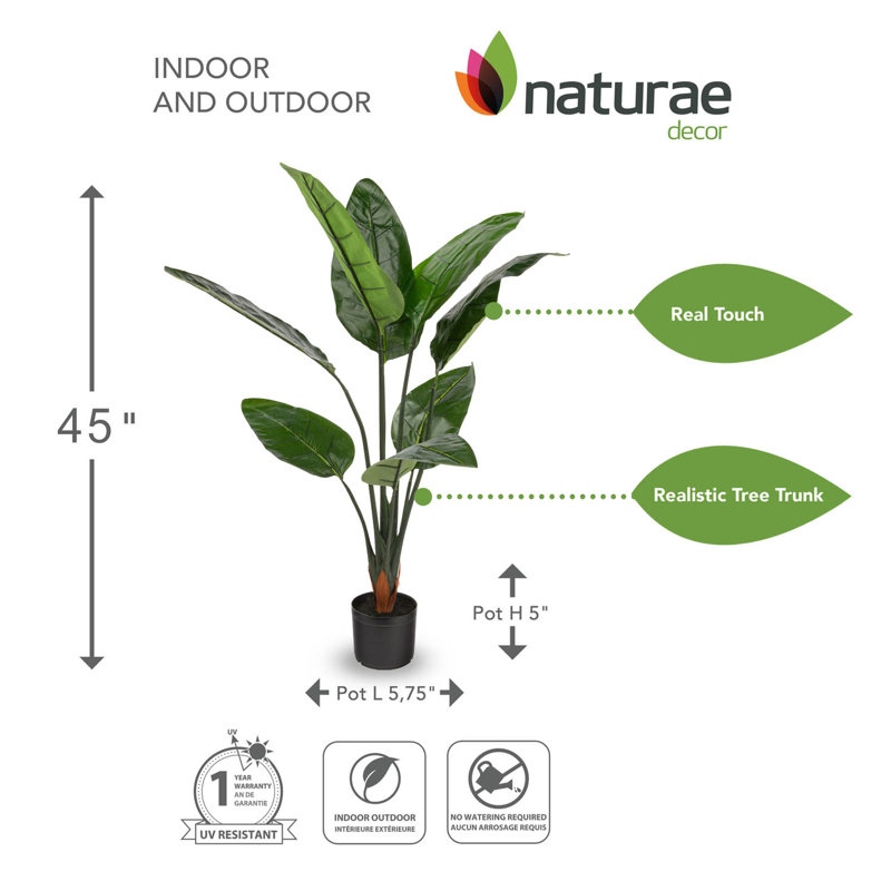 Faux Mango Plant in Pot, 45.27" H x 28" W x 28" D
