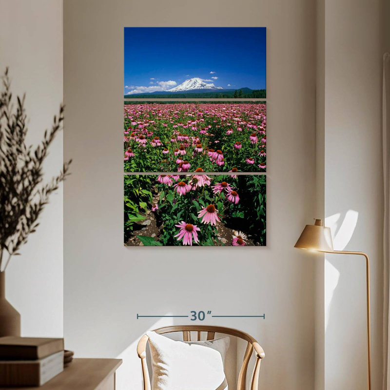 Harnek Echinacea Field, 65" H x 42" W