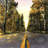 Long road - 32"x32" art on canvas