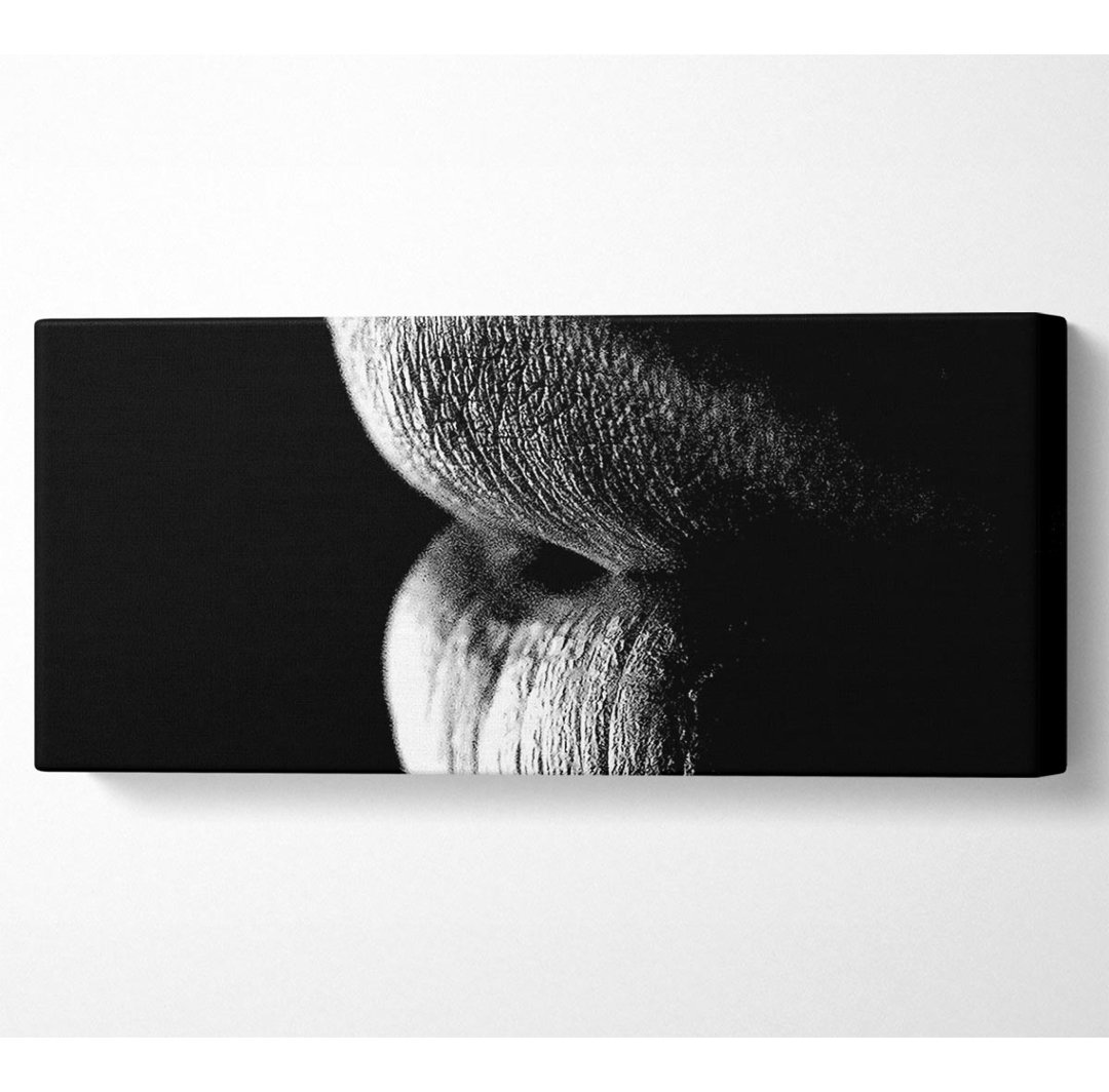 Sensual Lips B N W - Panoramakunstdrucke auf Leinwand