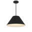 Luminaire suspendu à DEL noir de 22 pouces de diamètre-465254252-465254242