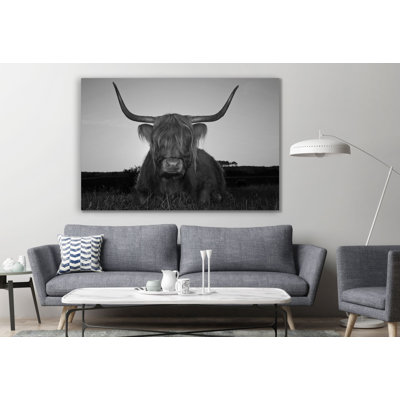 Vache écossaise à poil long, fond noir, paysage rustique, impression sur toile