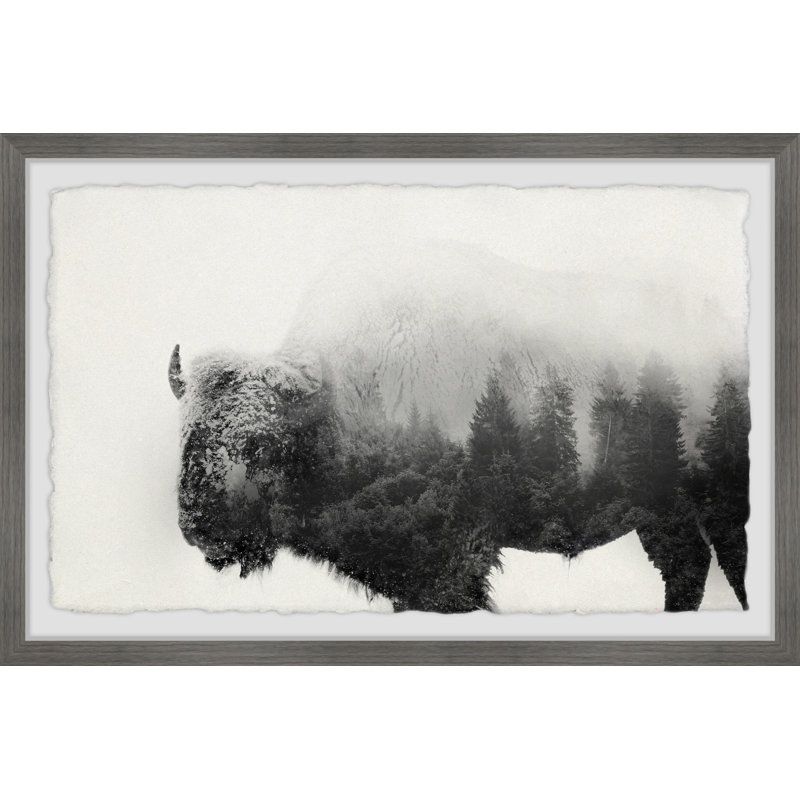 Cadre photo "marmont hill" par hill, impression sur papier, H 8 po x l 12 po