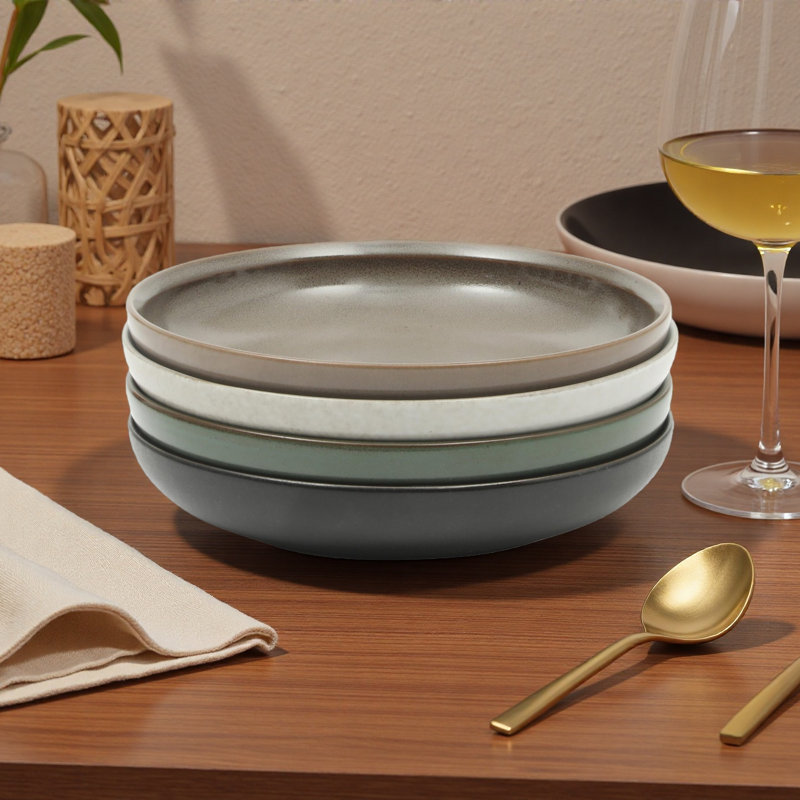 Ensemble de 4 assiettes à dîner multicolores