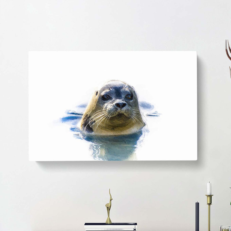Grey Seal - Wrapped Canvas, 35cm H x 50cm W x 3cm D