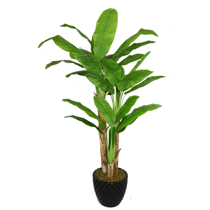 Bananier artificiel en pot 77,5 po Panama, Noir