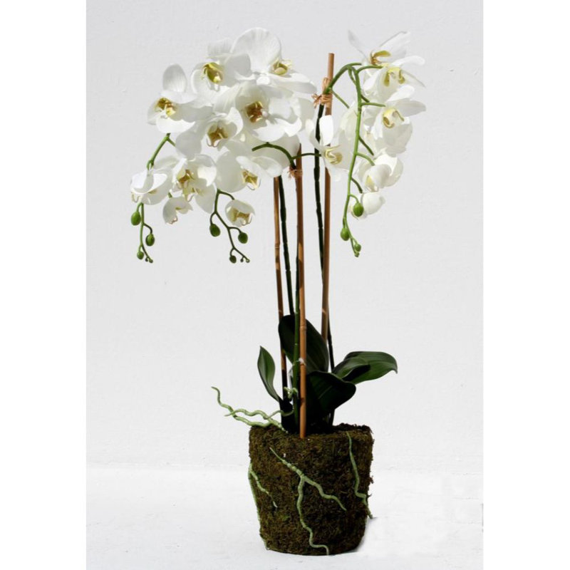 Orchid Artificial in Pot