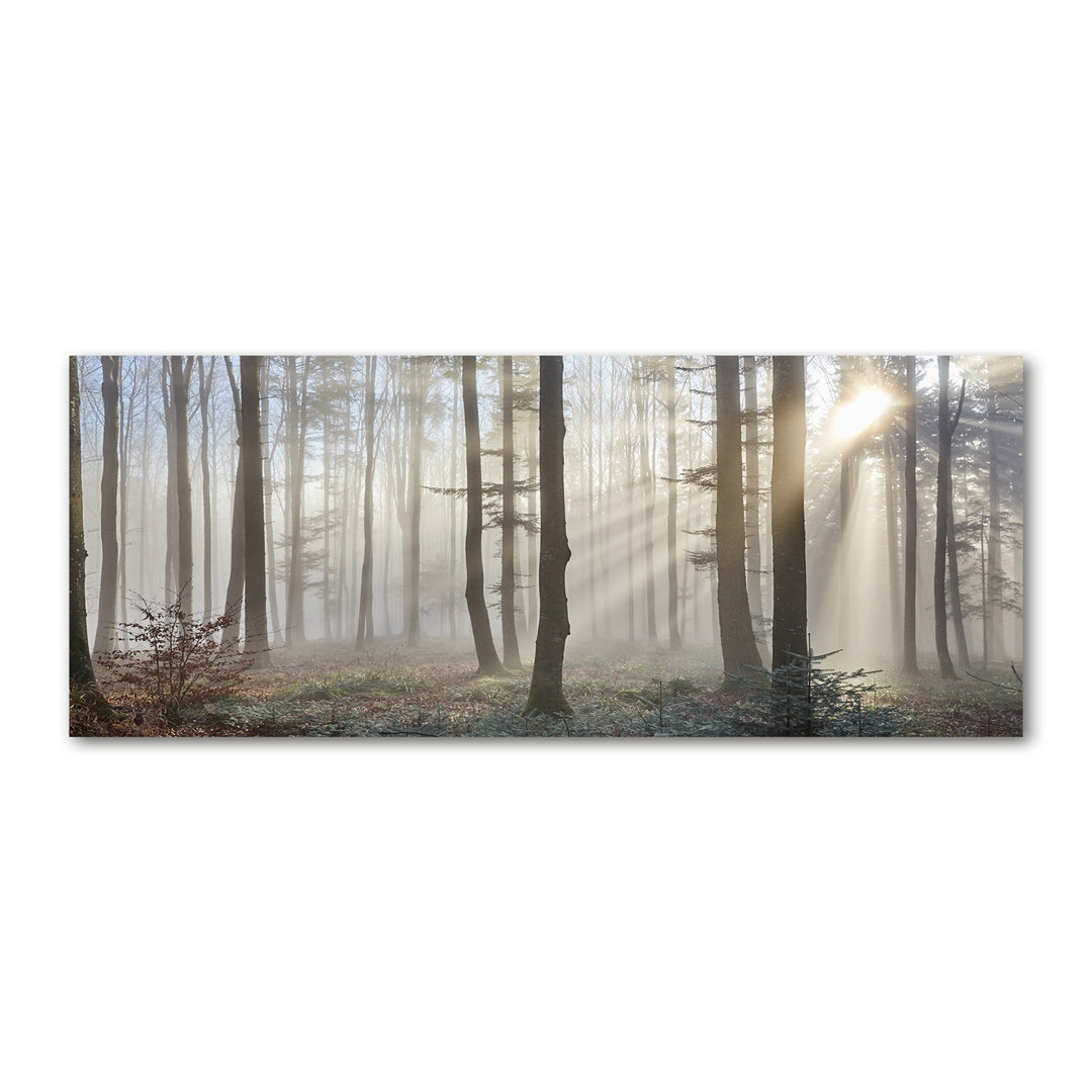 Nebel im Wald - Ungerahmte Fotografie auf Leinwand