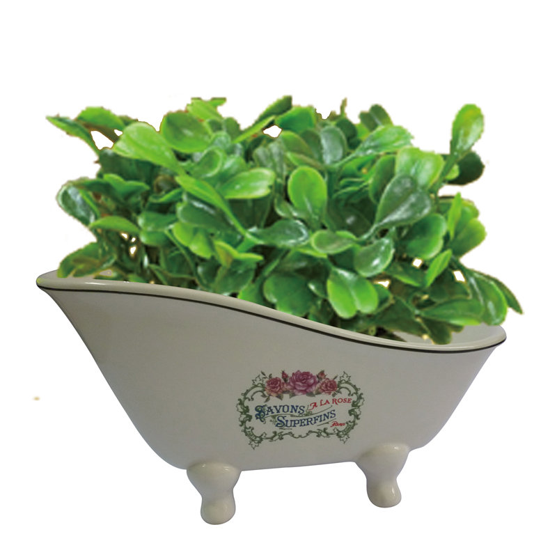 Kingston Brass Savons Superfins 8-1/16-Inch Mini Tub