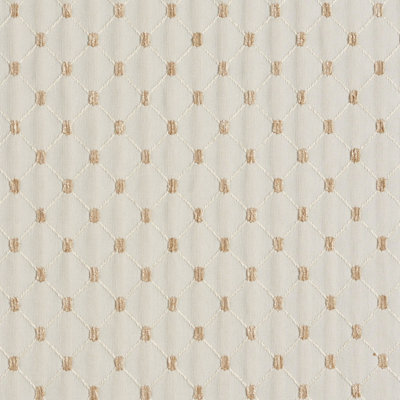 Elizabethgrace Fabric