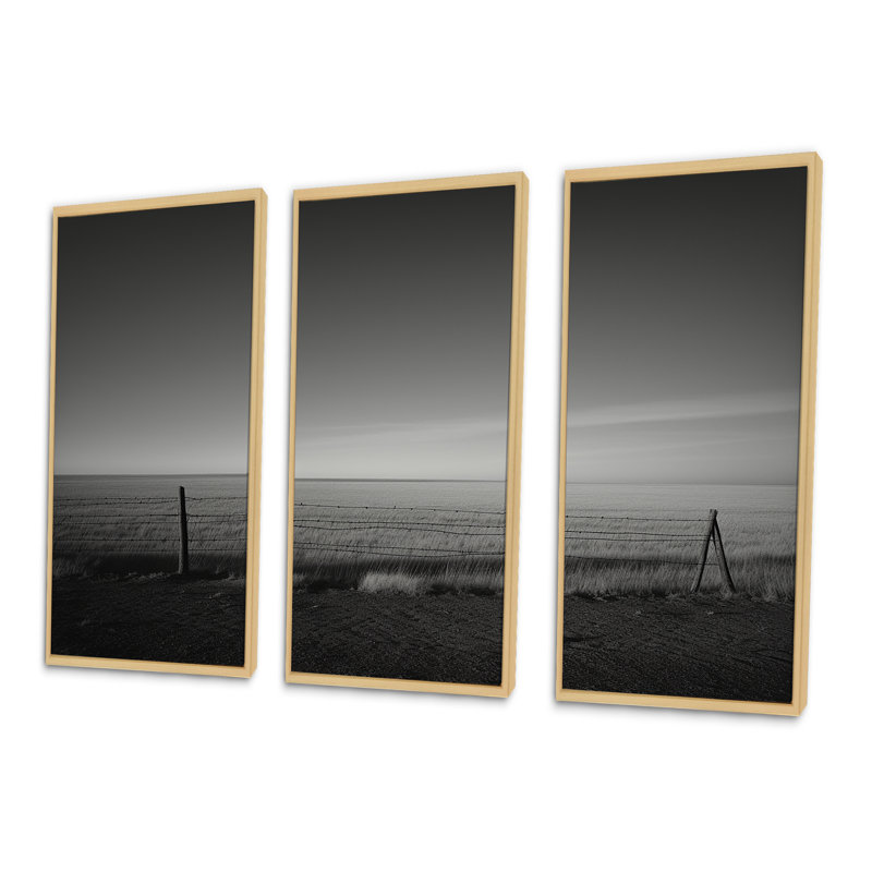 «Black and White Meadow», ensemble d'art sur toile, Cadre naturel flottant, H 32 po x l 48 po x P 1 po