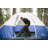 Stansport Heavy Duty G.I. Cot-97167896