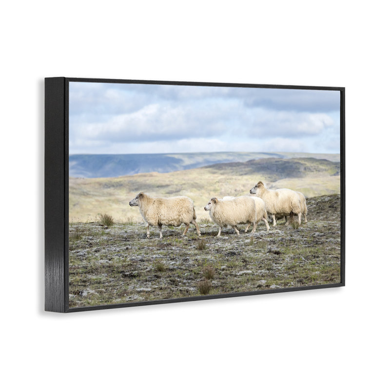 «Three Friends Sheep in Nature», estampe numérique, design par D. Burt, H 12 po x l 18 po, Giclée encadrée noir minuit