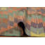 Tapis turc Kilim 5 x 7
