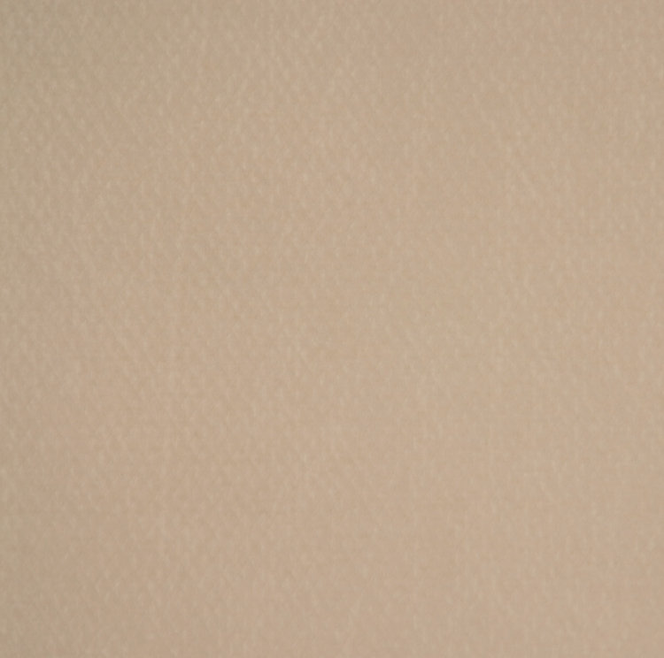 Allure Fabric