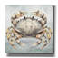 Toile épique «Cape Cod Crab» par Nicole DeCamp, 26 po x 26 po-283841645