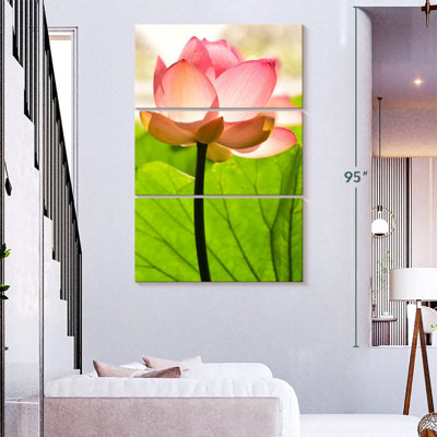 Harnek Bright Lotus Flower