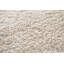 Camryn Polish Cream Rug-35524324