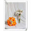 Arrangement Lillies-623490070-623490077