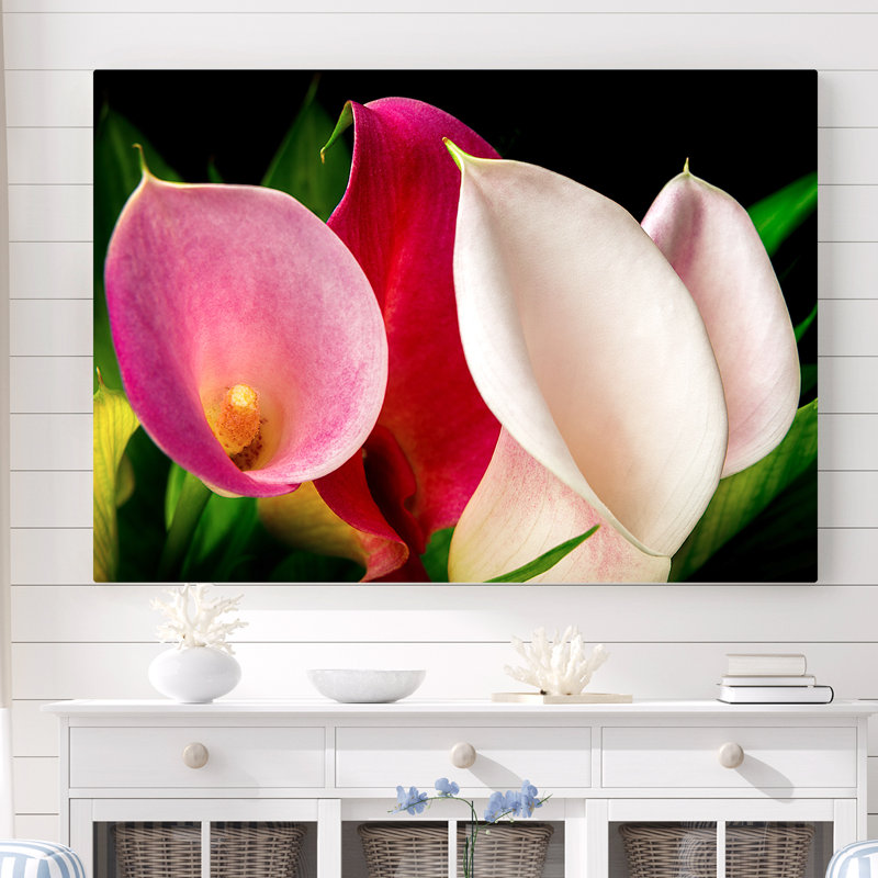 Kerriana Lillies in a Gaggle - reproduction de photo sur toile tendue, H 16 po x l 24 po x 1,5 po